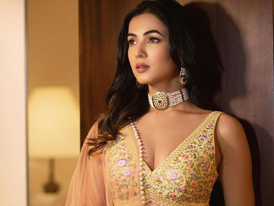 Delightful Look Of Sonal Chauhan In Ethnic Wear